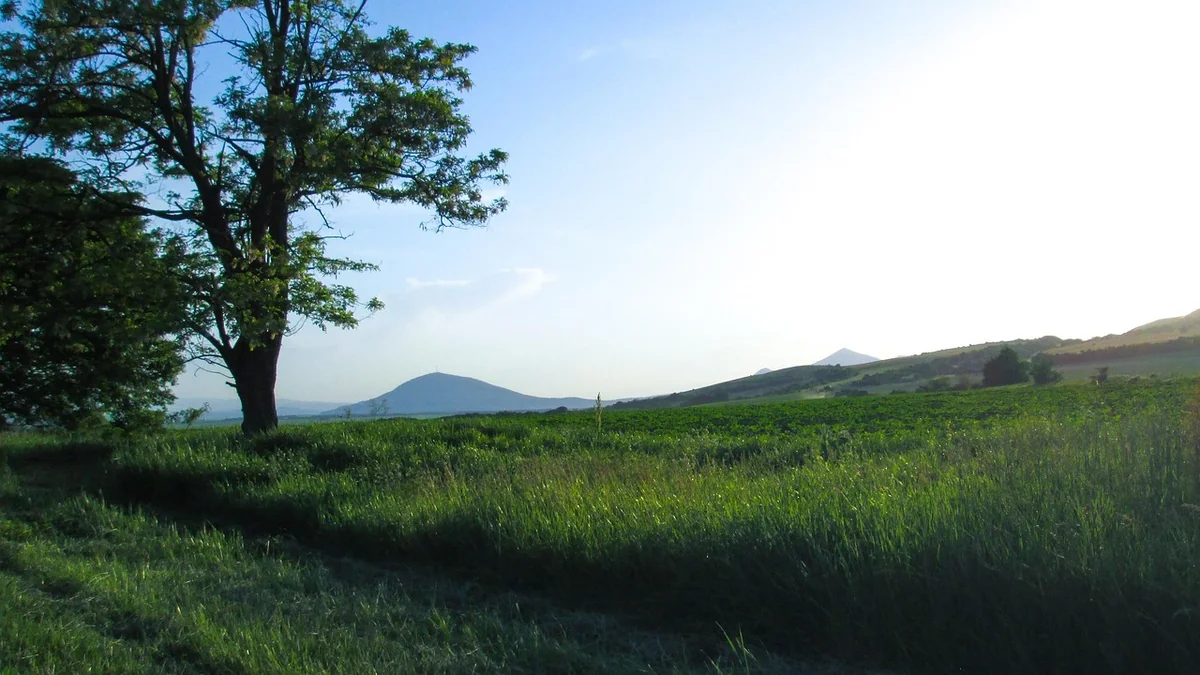 Category 1: Your Digital Home Base (Website & CMS)